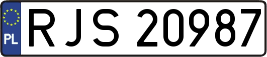 RJS20987