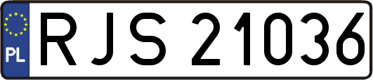 RJS21036