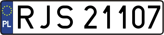 RJS21107