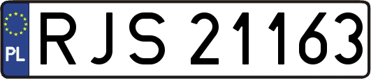 RJS21163