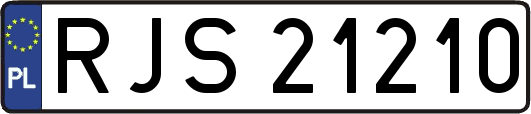 RJS21210