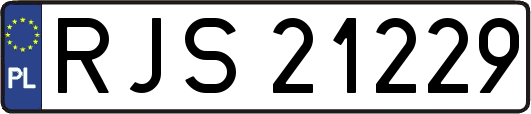 RJS21229