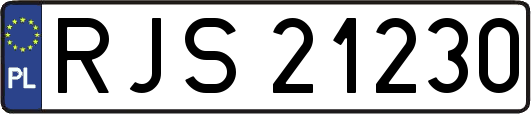 RJS21230