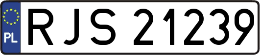 RJS21239