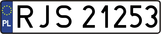 RJS21253