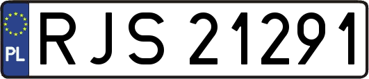 RJS21291