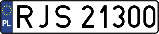 RJS21300