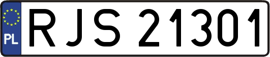 RJS21301
