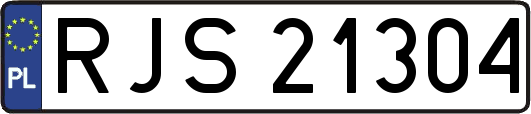 RJS21304