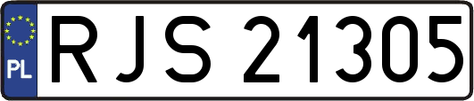 RJS21305