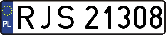 RJS21308
