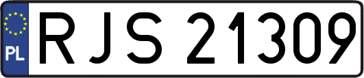 RJS21309