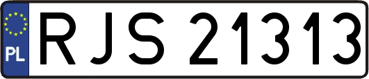 RJS21313