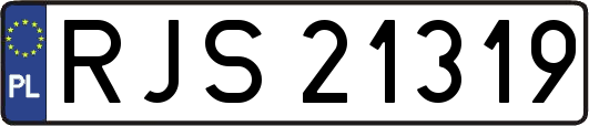 RJS21319