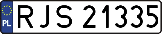 RJS21335
