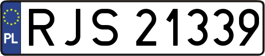 RJS21339