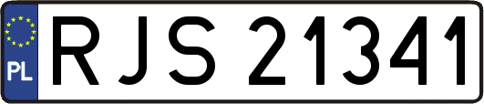 RJS21341