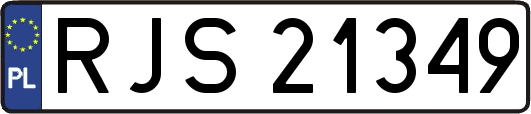 RJS21349