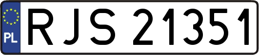 RJS21351