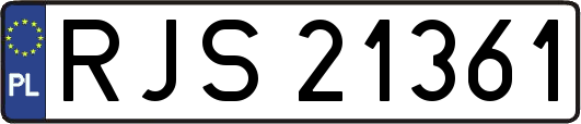 RJS21361