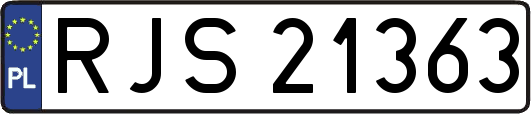 RJS21363