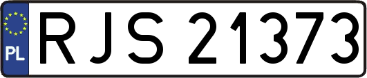 RJS21373