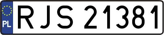 RJS21381