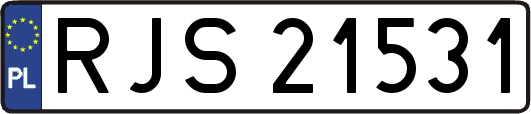 RJS21531