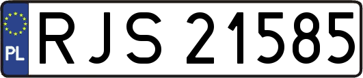 RJS21585