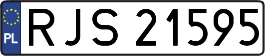 RJS21595