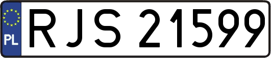 RJS21599