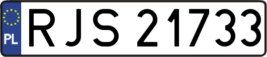 RJS21733