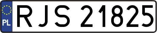 RJS21825