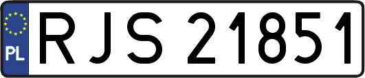 RJS21851