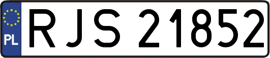 RJS21852