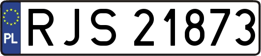 RJS21873