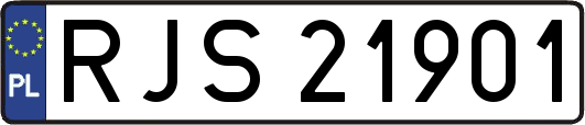 RJS21901