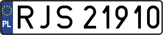 RJS21910