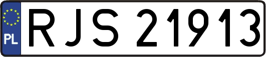 RJS21913