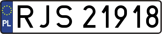 RJS21918