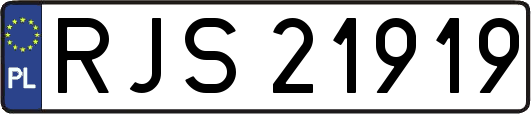 RJS21919