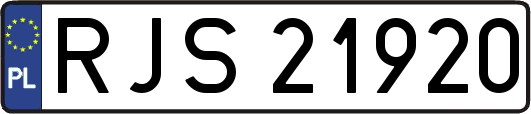 RJS21920