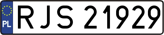 RJS21929