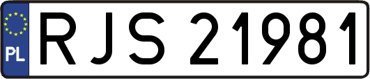 RJS21981