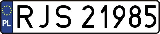 RJS21985
