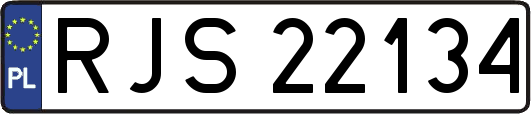RJS22134