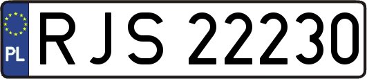RJS22230