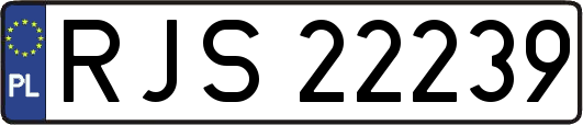 RJS22239
