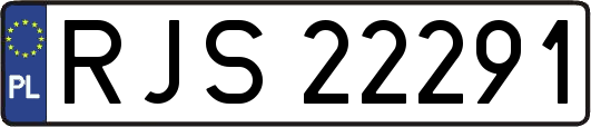 RJS22291