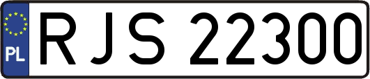 RJS22300